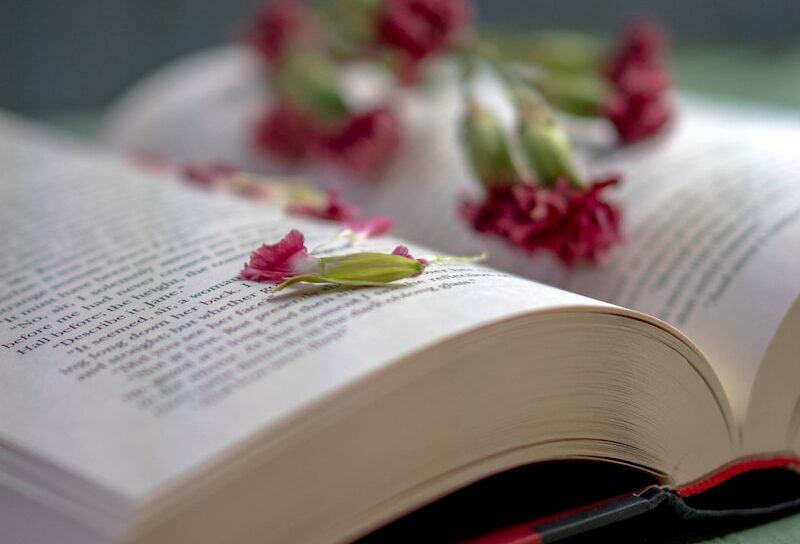 red and white flowers on book page